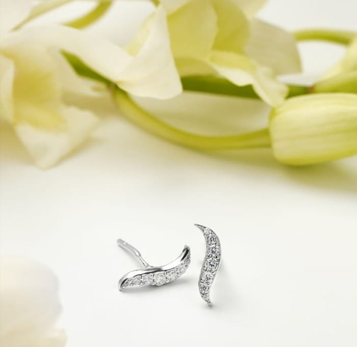 Zircon Wave Earring